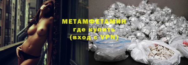 шишки Нея