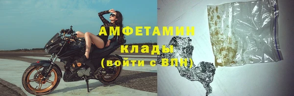 прущие грибы Абдулино