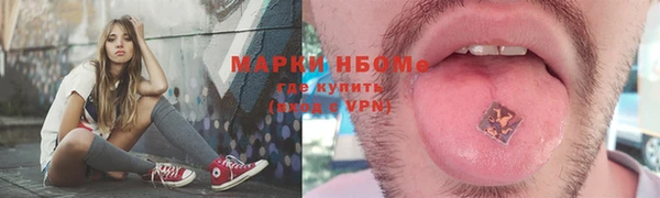 прущие грибы Абдулино